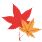 사이트 maple leaf.png